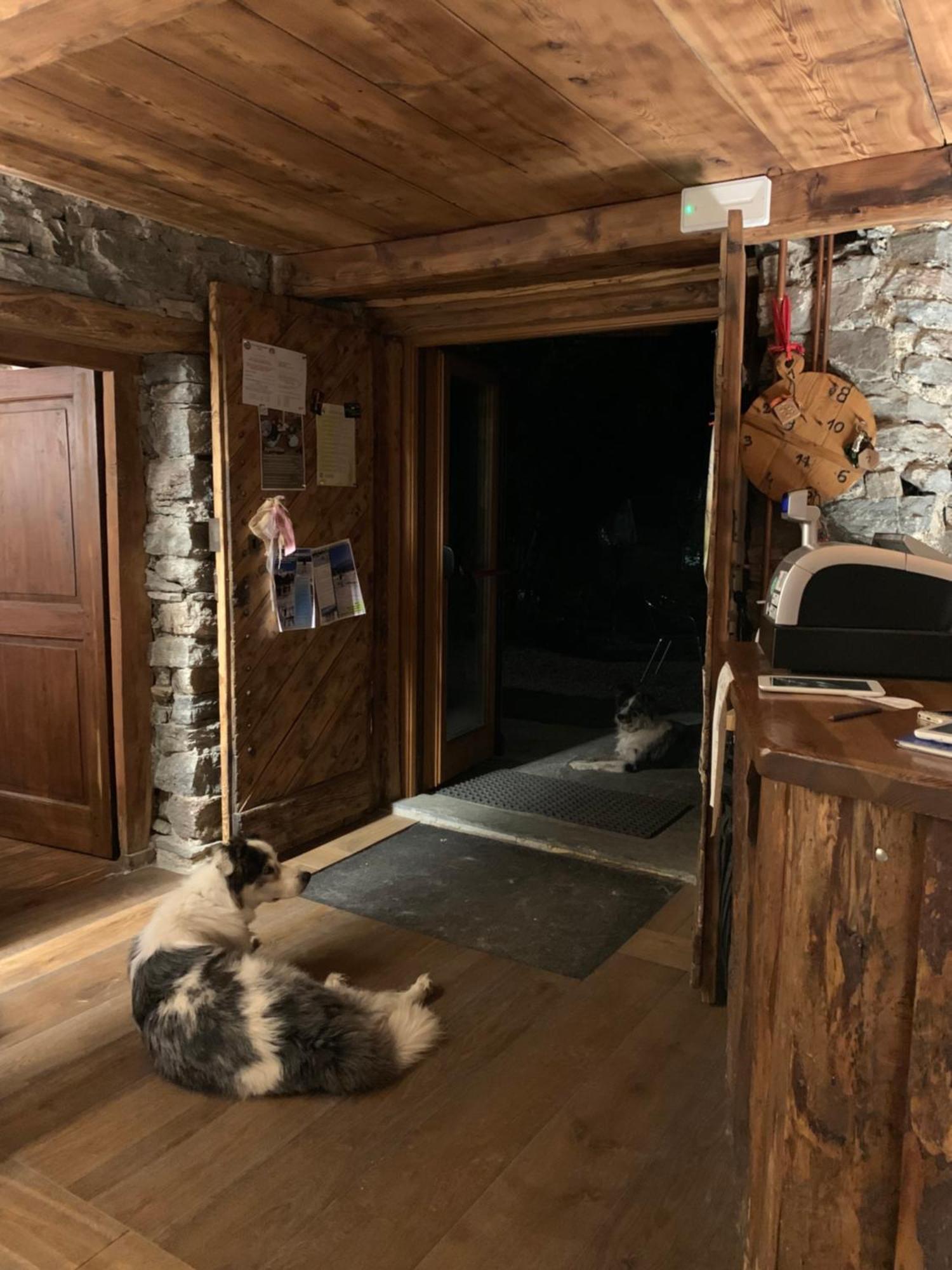 Chalet Del Lago Ceresole Reale Exterior foto